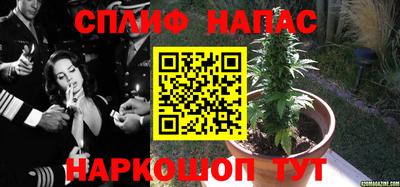 jwh Кандалакша