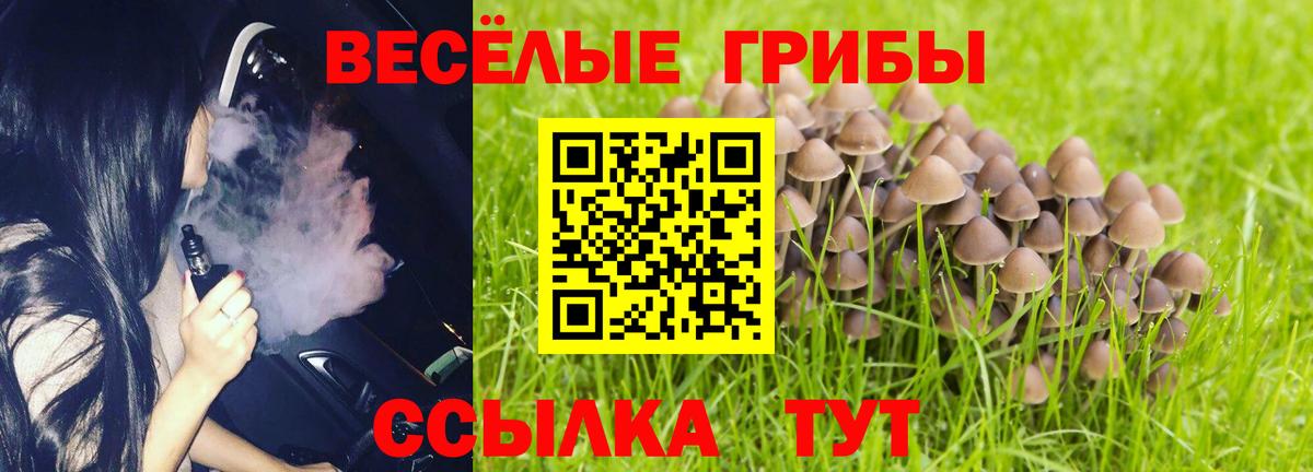 Псилоцибиновые грибы Cubensis Домодедово